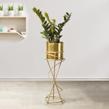 On Trend Abstract Golden Finish - Medium Size Planter