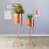 On Trend Abstract Ross Gold Stand & Ross Gold Finish Pot Planters Set