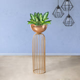 Urban Zen Gold Stand & Ross Gold Pot - Large Size Planter