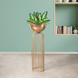 Urban Zen Gold Stand & Ross Gold Pot - Large Size Planter