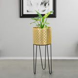Verdant Oasis Black Stand & Golden Finish Pot - Large Size Planter