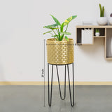 Verdant Oasis Black Stand & Golden Finish Pot - Large Size Planter