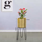 Verdant Oasis Black Stand & Golden Finish Pot - Medium Size Planter