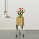 Verdant Oasis Black Stand & Golden Finish Pot - Medium Size Planter