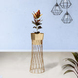 Zen Botanics Gold Stand & Ross Gold Pot - Large Size Planter