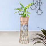 Zen Botanics Gold Stand & Ross Gold Pot - Large Size Planter