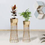 Zen Botanics Gold Stand & Ross Gold Pot Planters Set of 2