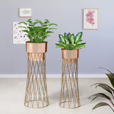 Zen Botanics Gold Stand & Ross Gold Pot Planters Set of 2
