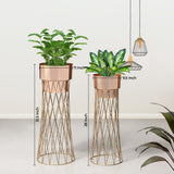 Zen Botanics Gold Stand & Ross Gold Pot Planters Set of 2
