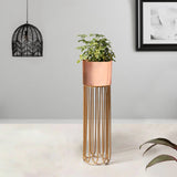 Artisan Arboretum Gold Stand & Ross Gold Pot - Medium Size Planter