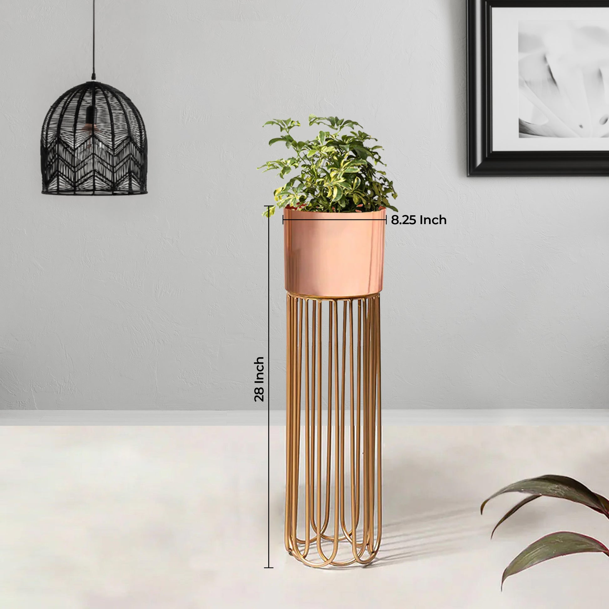 Artisan Arboretum Gold Stand & Ross Gold Pot - Medium Size Planter