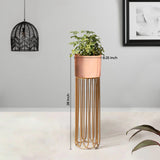 Artisan Arboretum Gold Stand & Ross Gold Pot - Medium Size Planter
