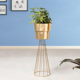 Avant Garden Golden Finish - Large Size Planter