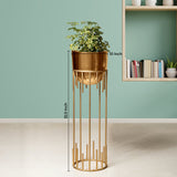 Dripping Luxury Metal Golden Finish - Large Size Planter