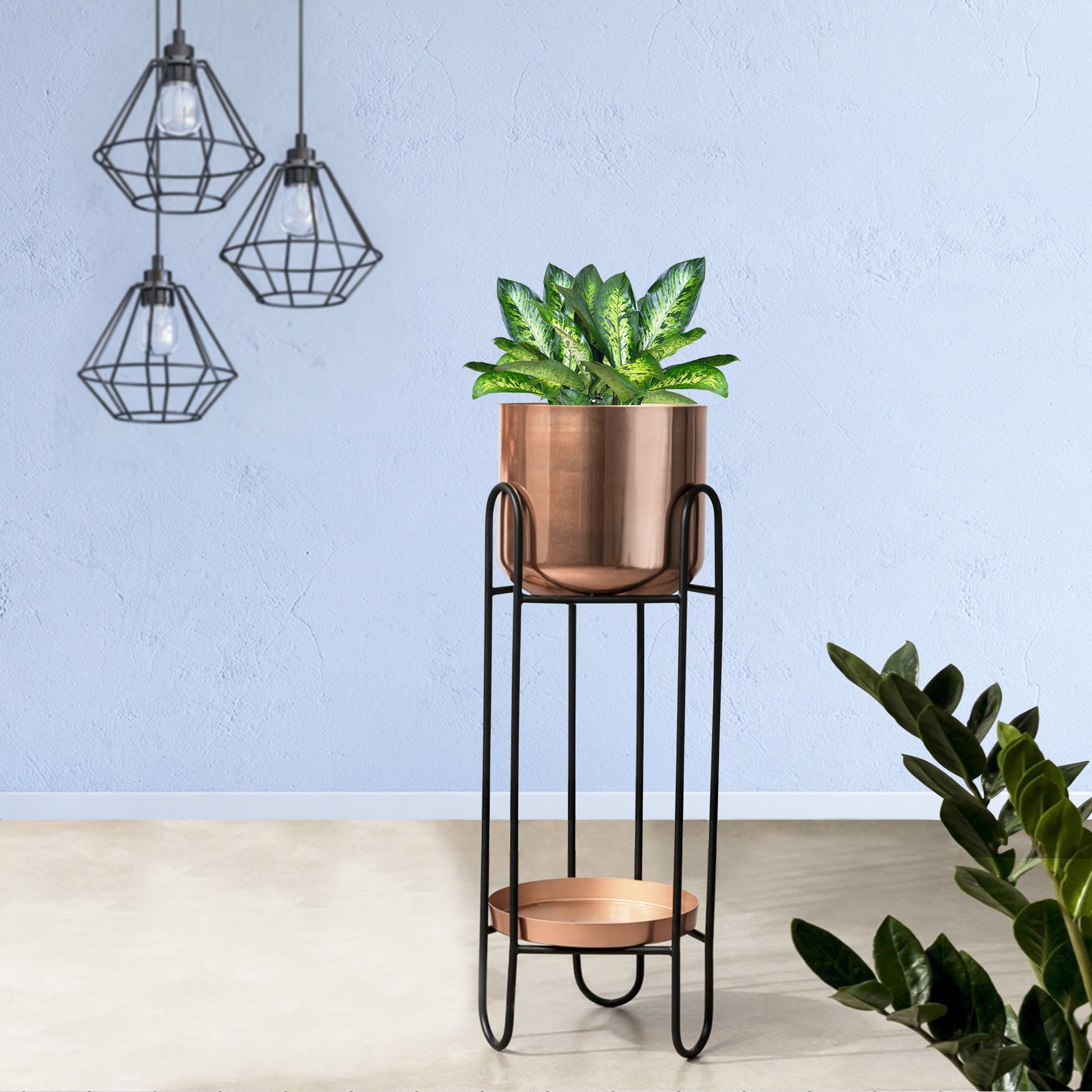 Dual Crown Black Stand & Ross Gold Finish Pot - Medium Size Planter