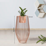Euphoric Earth Ross Gold Stand & Ross Gold Finish Pot - Large Size Pla