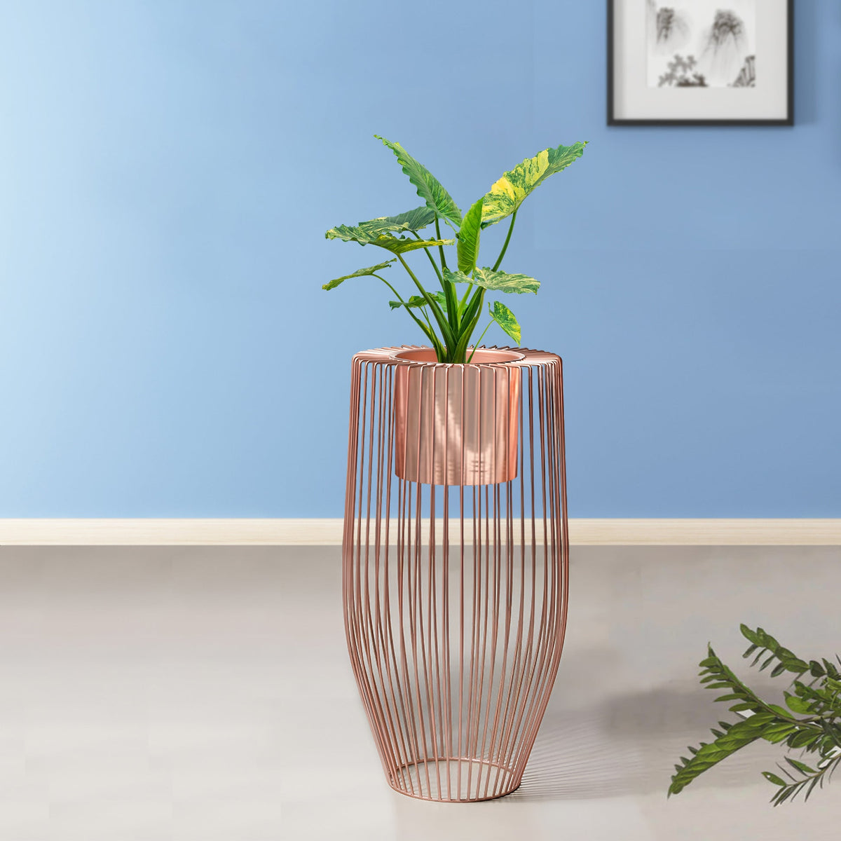 Euphoric Earth Ross Gold Stand & Ross Gold Finish Pot - Medium Size Pl