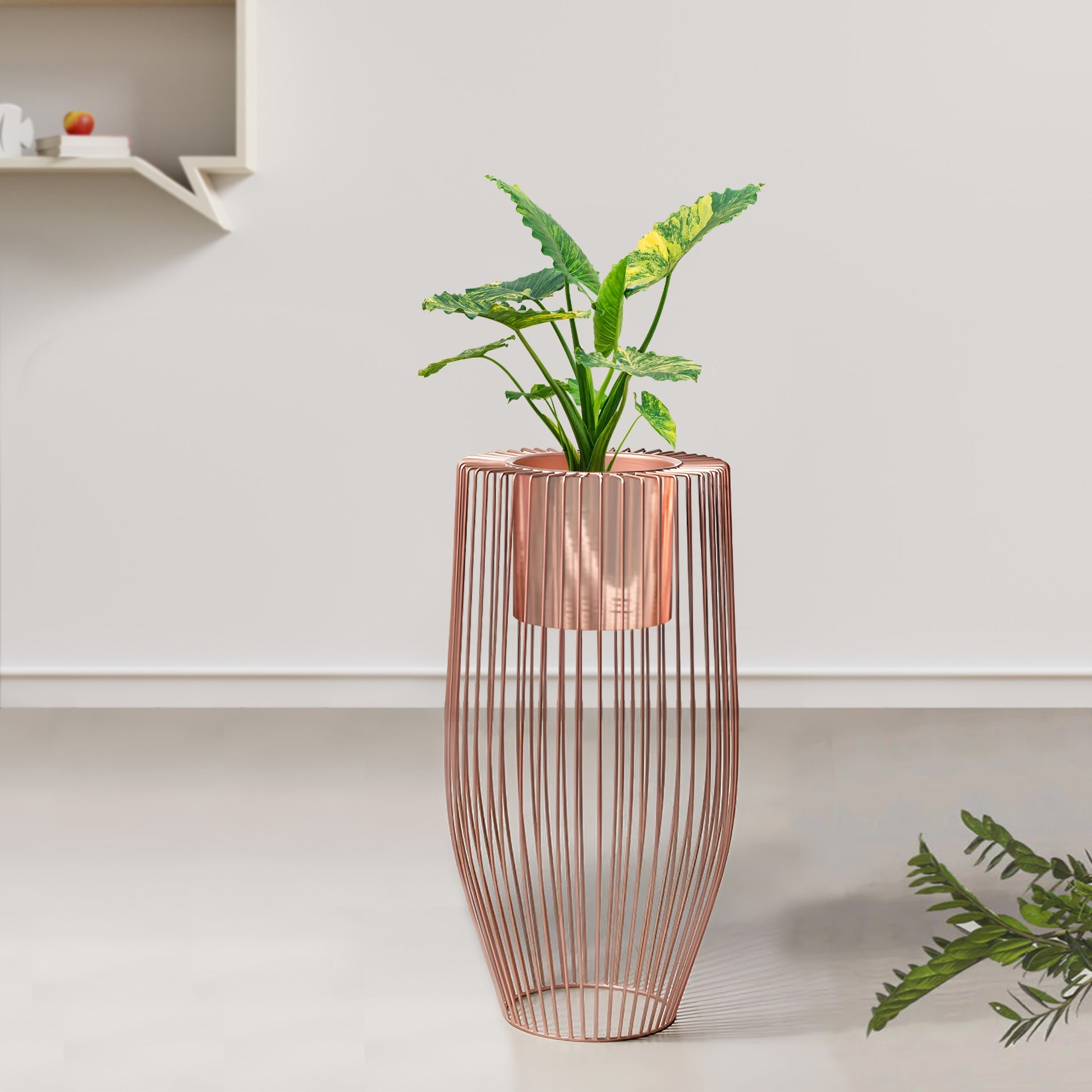 Euphoric Earth Ross Gold Stand & Ross Gold Finish Pot - Medium Size Pl