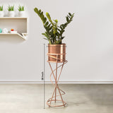 On Trend Abstract Ross Gold Stand & Ross Gold Finish Pot - Medium Size