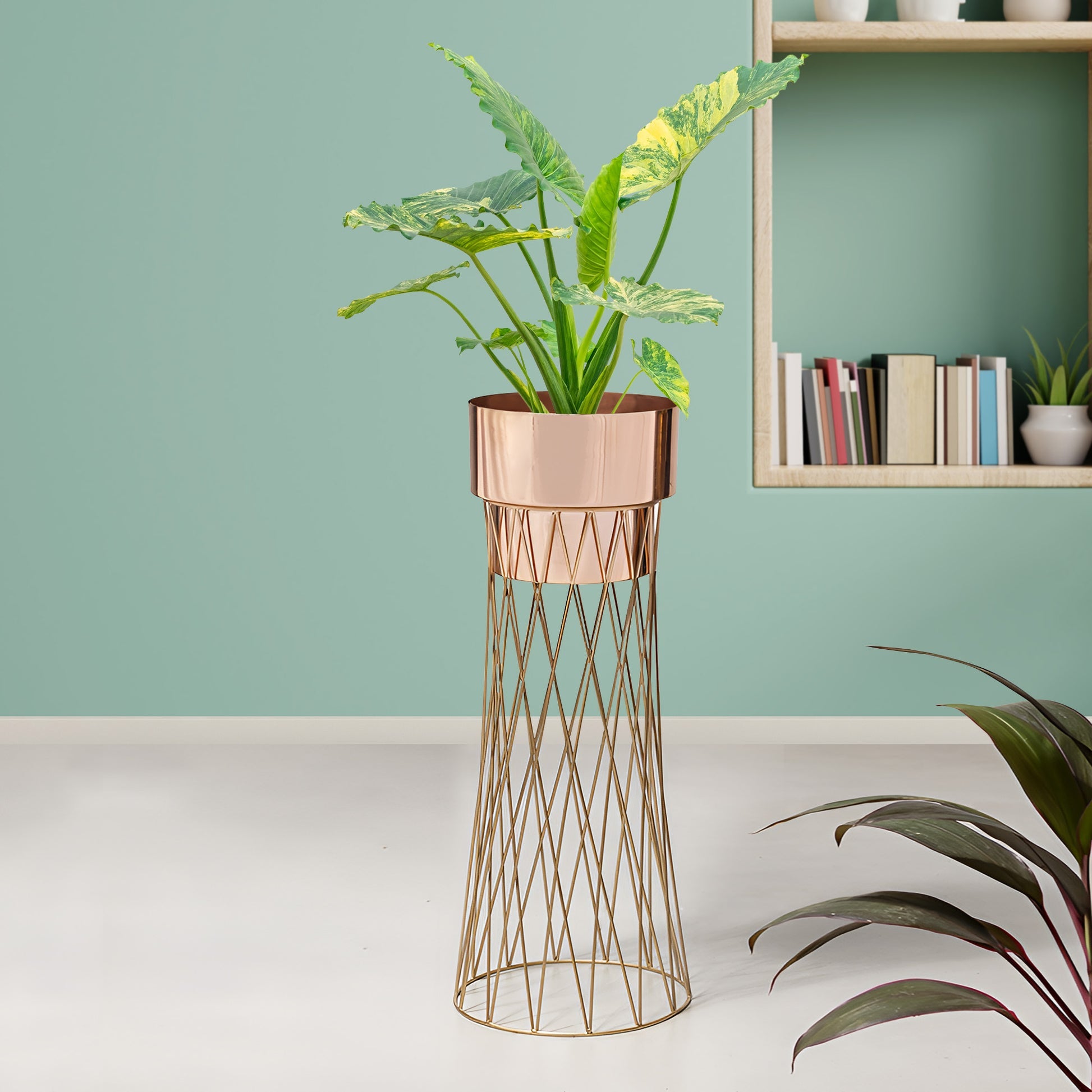 Zen Botanics Gold Stand & Ross Gold Pot - Large Size Planter